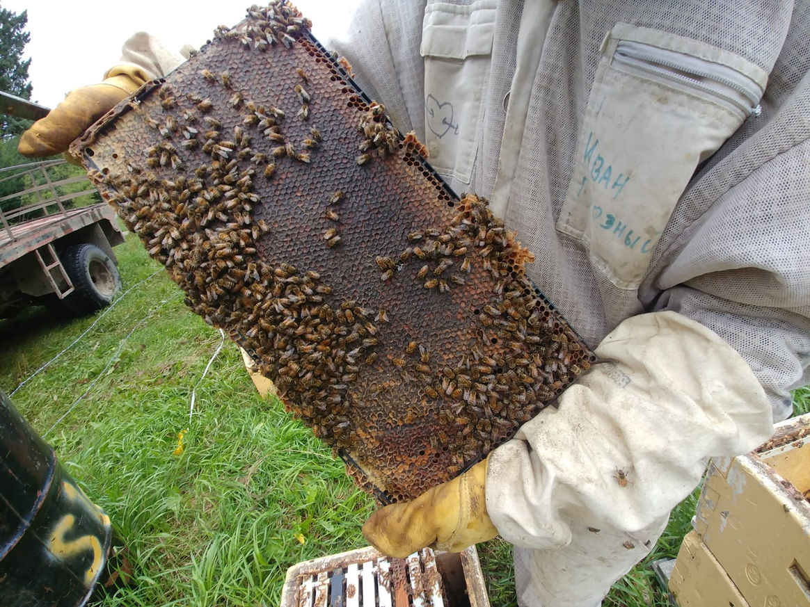 2020 Season photo 10